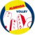logo Albengavolley